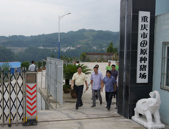 國家鄉(xiāng)村振興局副局長、原黔江區(qū)委書記洪天云視察重慶69